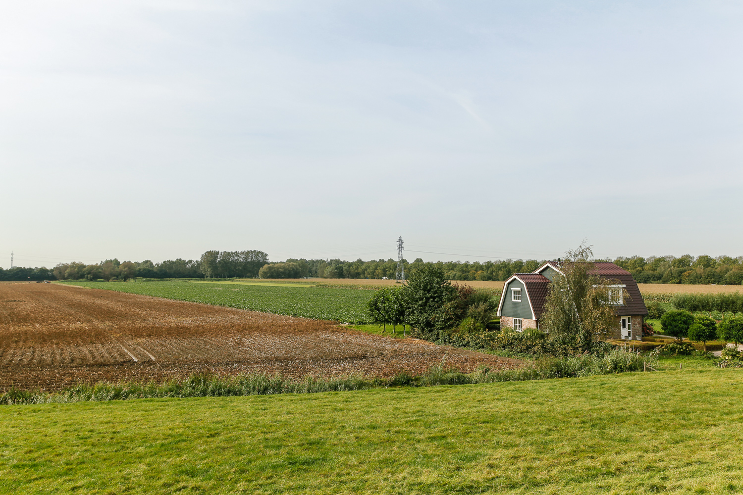 Image of RIDDERKERK, Oostmolendijk 38