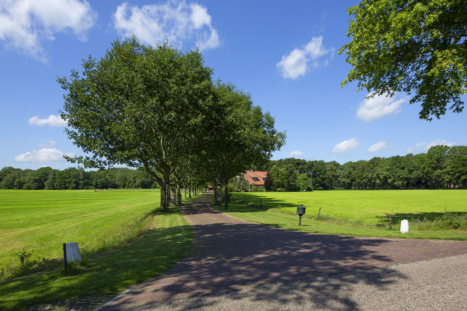 Image of BEUNINGEN, Lutterzandweg 34