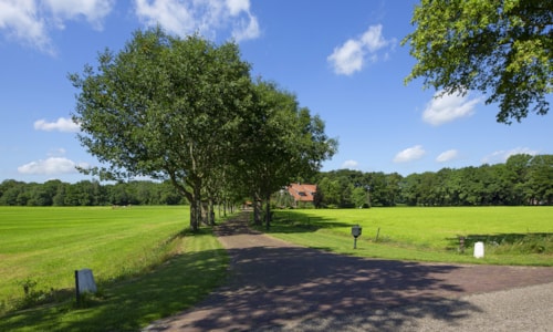 Image of BEUNINGEN, Lutterzandweg 34