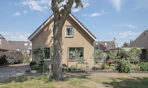 Image of ZEEWOLDE, Eekhoornbos 33