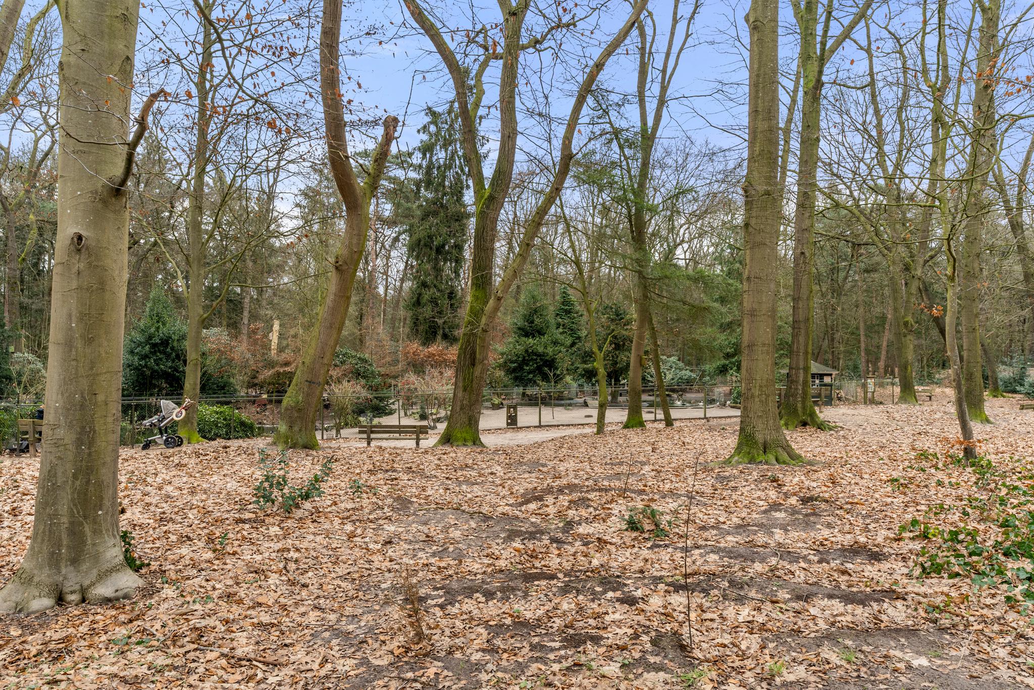 Image of LUNTEREN, van den Hamlaan 4