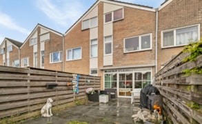 Leeuwarden, Lenteklokje 30 image