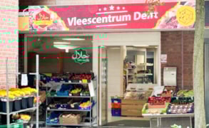 Delft, Bikolaan 193 image