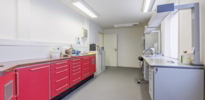 Rheden, Groenestraat 67 image