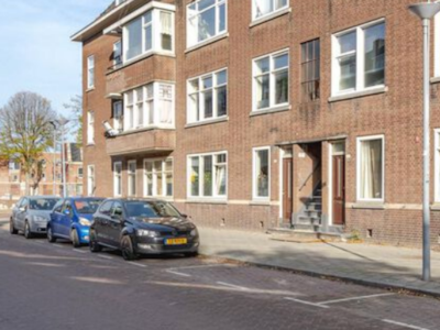 Image of Sold in Rotterdam