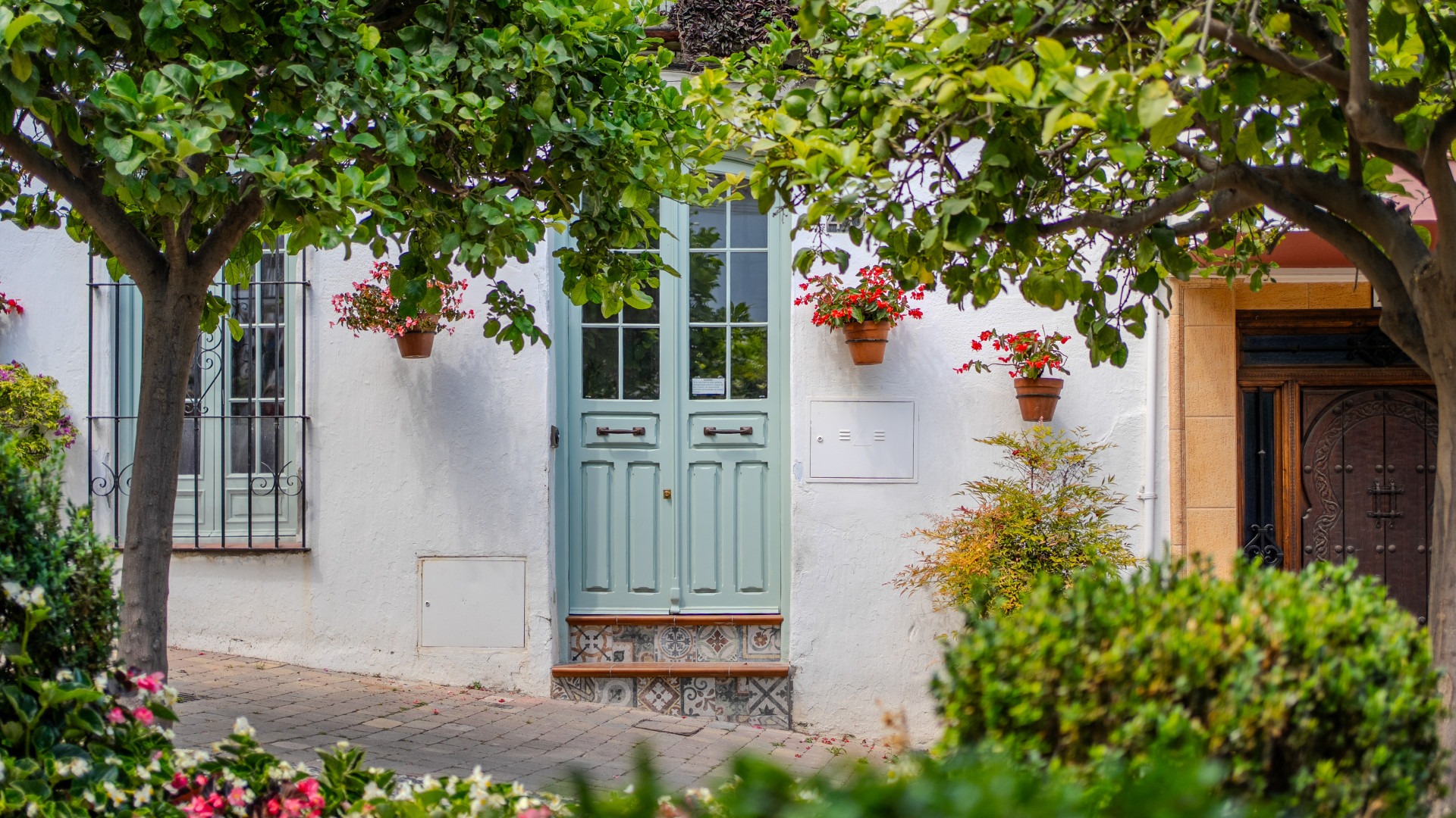 Image of Estepona