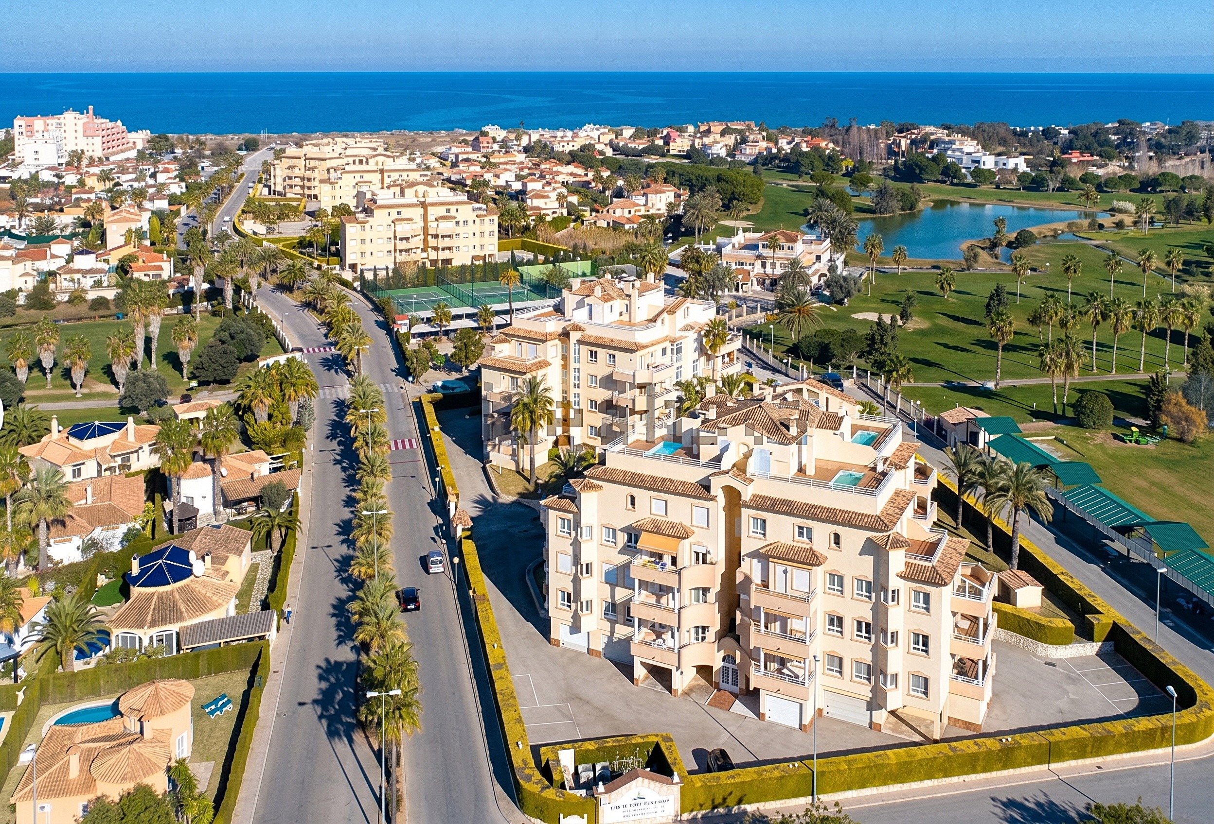 Image of Oliva