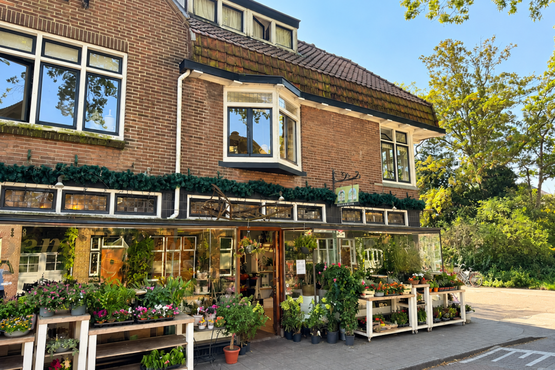 Weesp, Buitenveer 19 Image of Weesp, Buitenveer 19